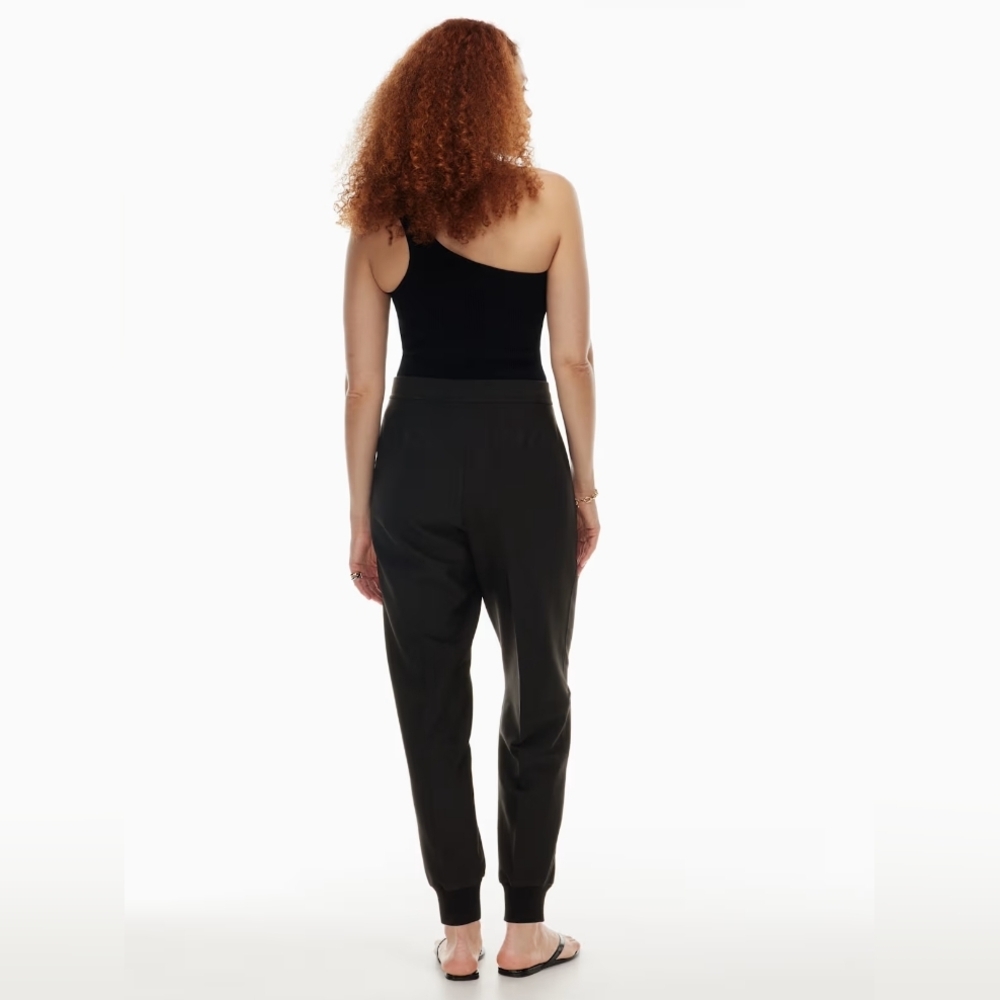 Aritzia Babaton Allegory Jogger size 4 BNWT - Picture 4 of 11